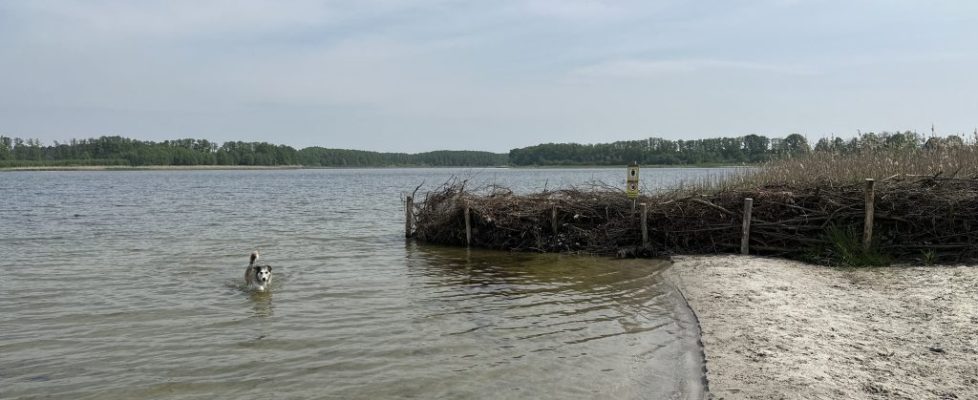 Am Seddiner See