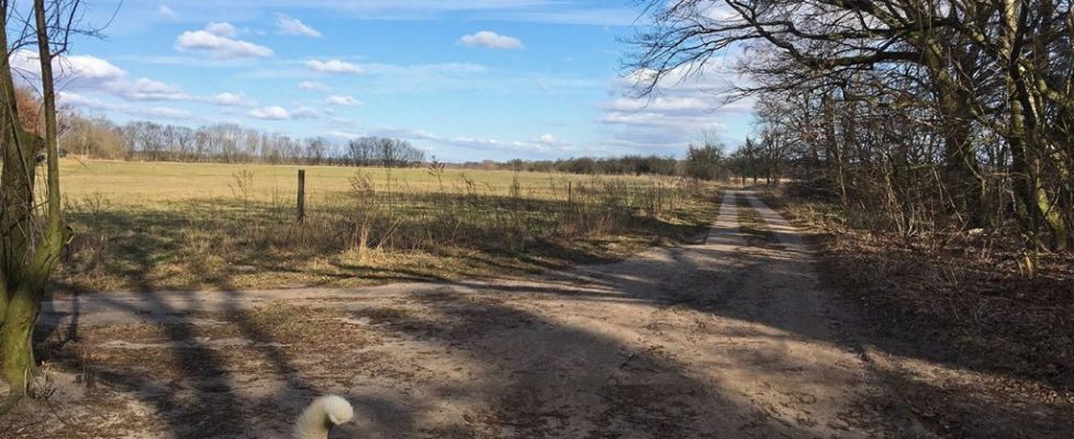 Birkholz_20180224_02