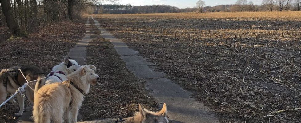 Birkholz_20180224_03