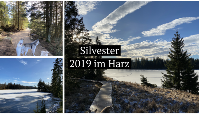 Silvester 2019 im Harz