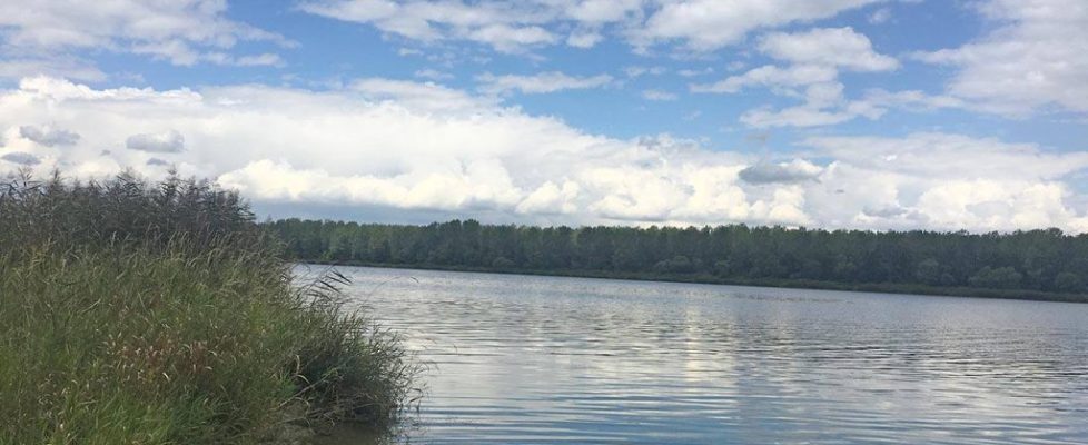 Muldestausee_20170820_02