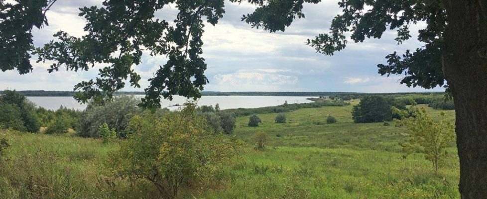 Muldestausee_20170820_05