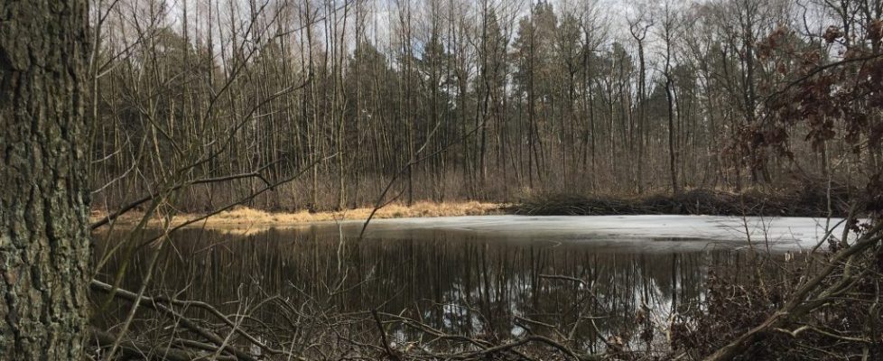 ParforceHeide_20180324_03