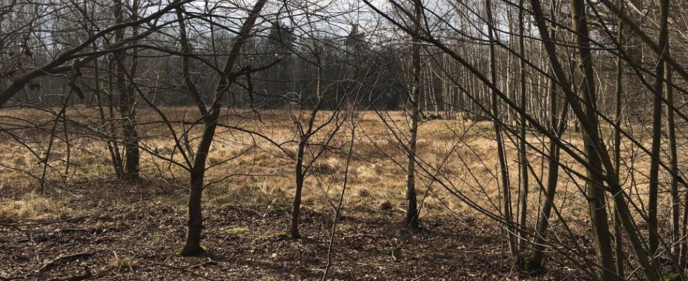 ParforceHeide_20180324_04