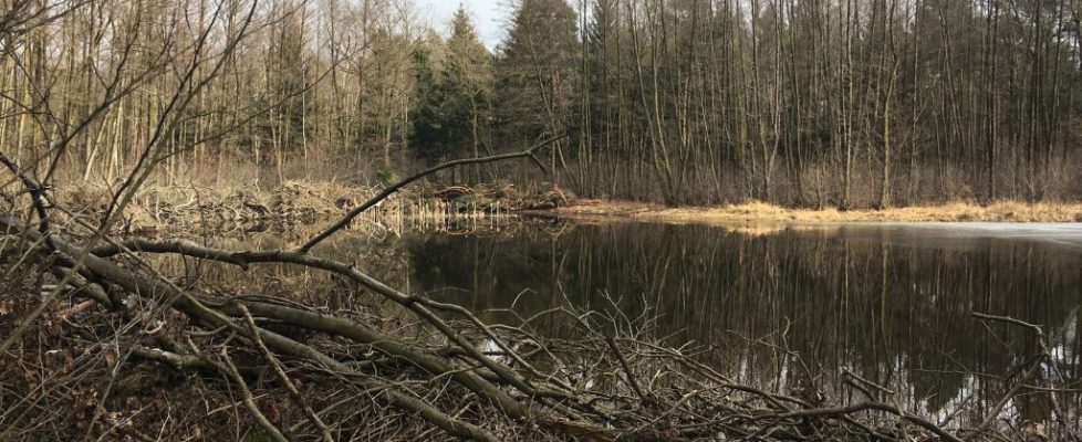 ParforceHeide_20180324_07