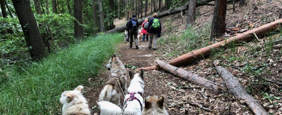 Schaubetal20180623_001