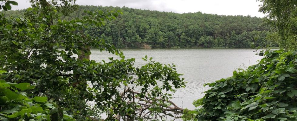 Schaubetal20180623_006