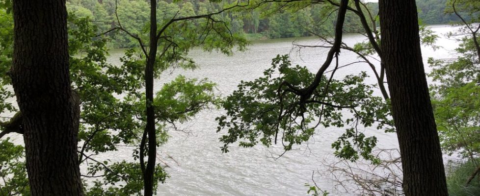 Schaubetal20180623_007