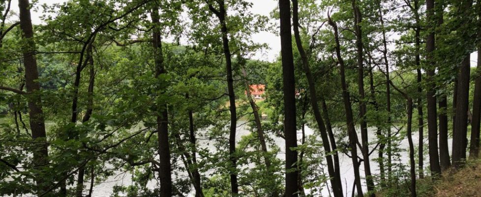 Schaubetal20180623_008