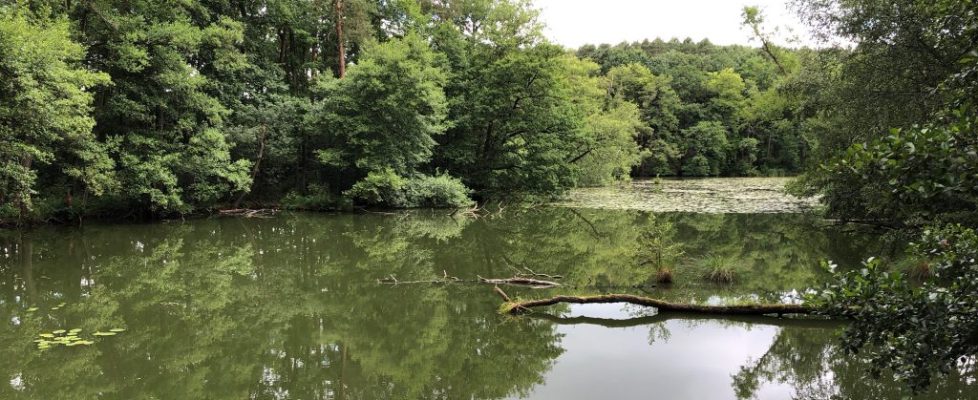 Schaubetal20180623_009