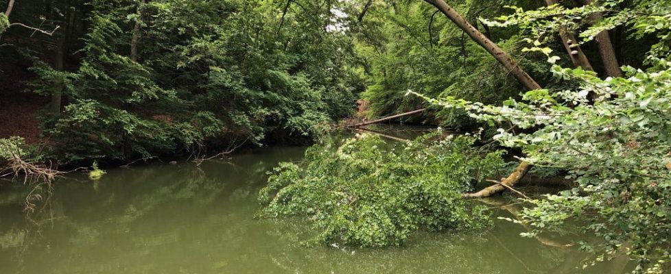 Schaubetal20180623_010