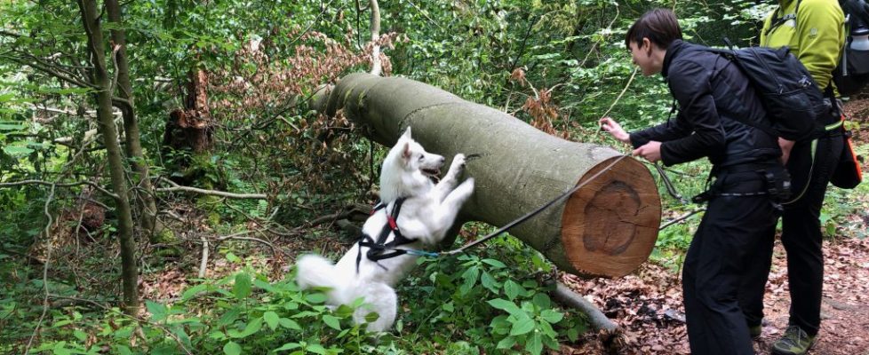 Schaubetal20180623_017