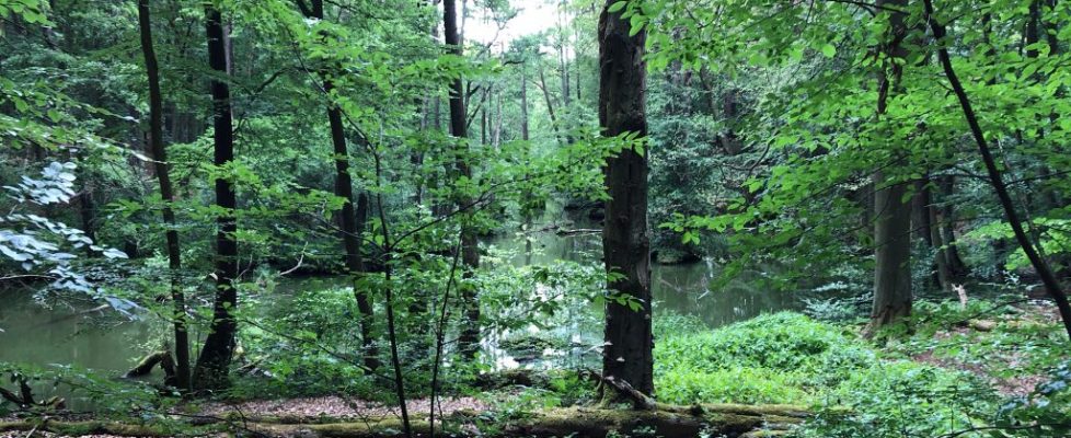 Schaubetal20180623_019