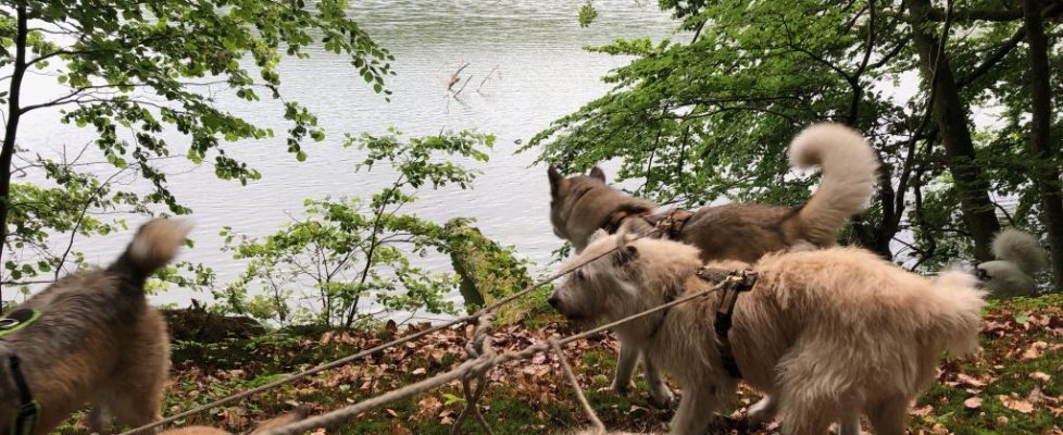 Schaubetal20180623_020