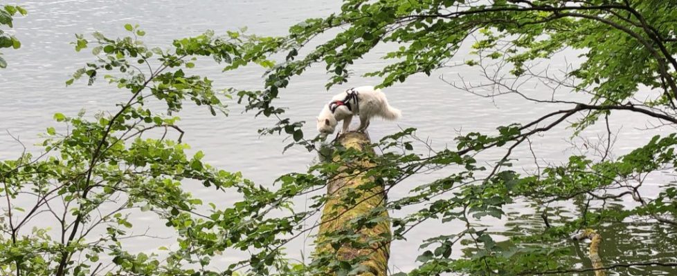 Schaubetal20180623_021