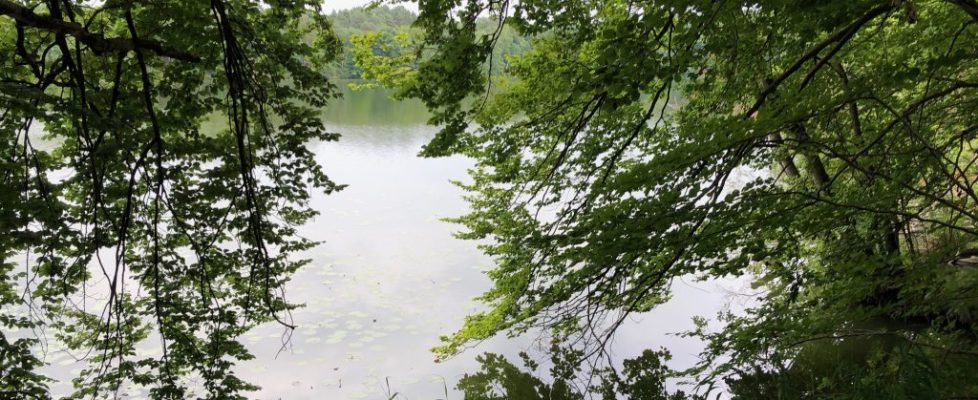 Schaubetal20180623_023