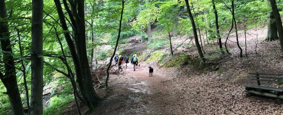 Schaubetal20180623_024