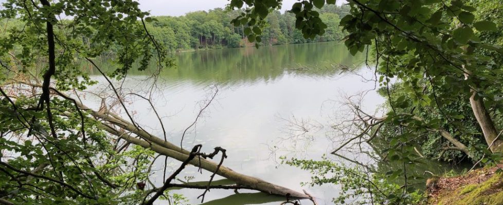 Schaubetal20180623_025