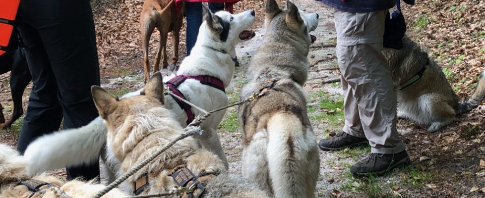 Schaubetal20180623_026