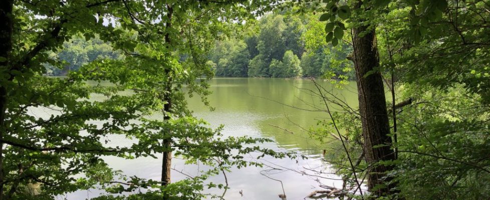 Schaubetal20180623_027