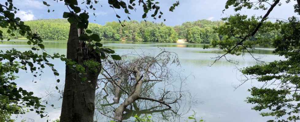 Schaubetal20180623_028