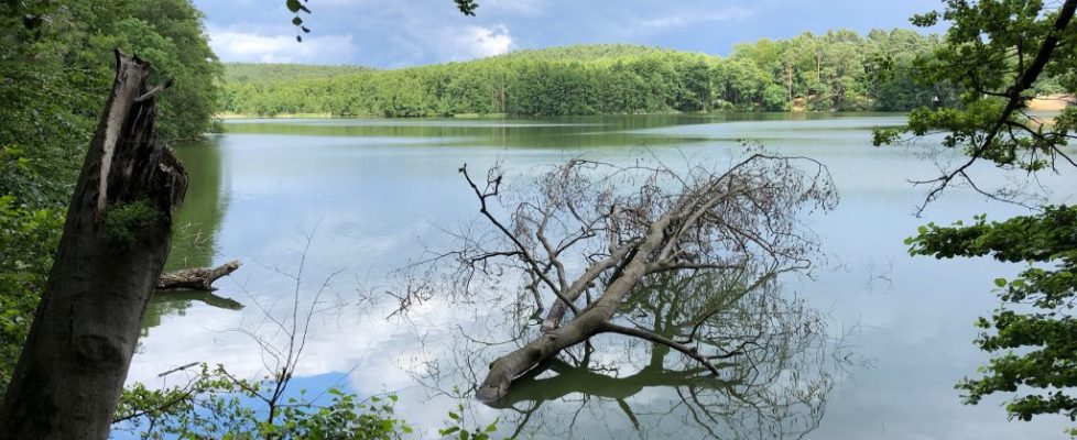 Schaubetal20180623_029