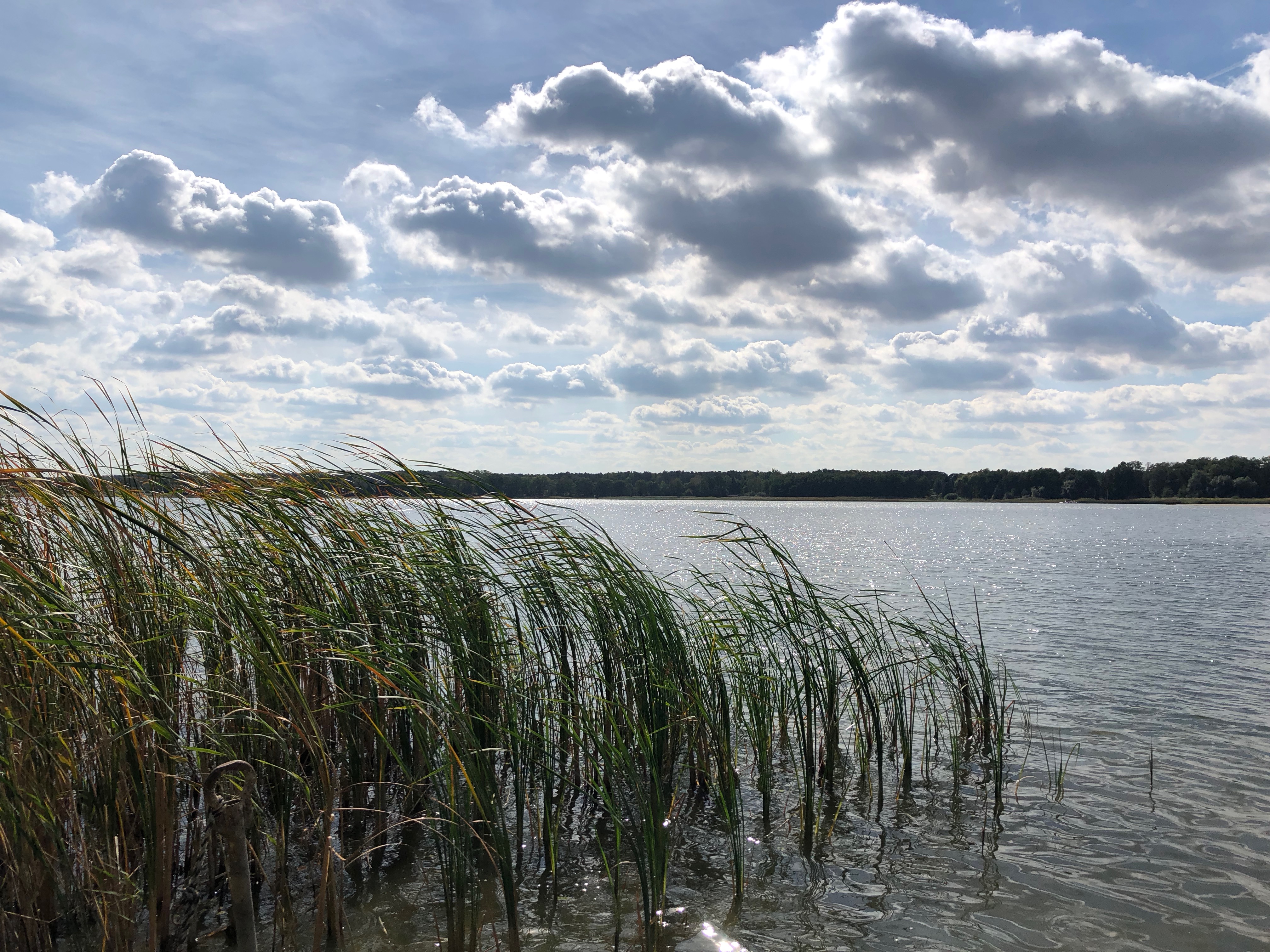 Großer Seddiner See