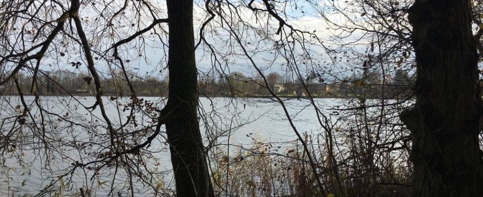 SeddinerSee_20171118_03