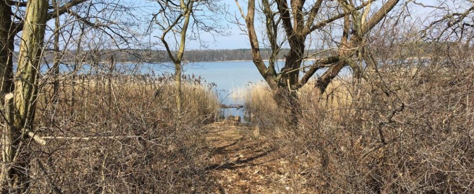 SeddinerSee_20180330_02