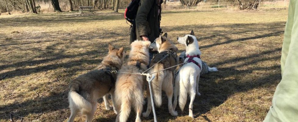 SeddinerSee_20180330_03