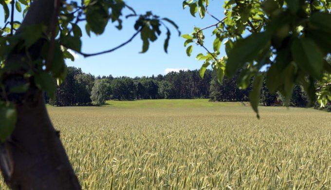 Bergmolchwanderweg 22.06.2013