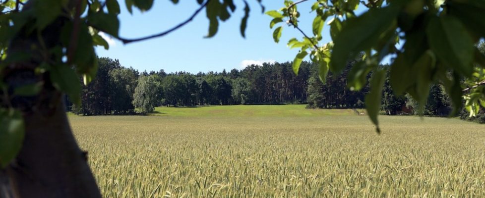 Bergmolchwanderweg 22.06.2013