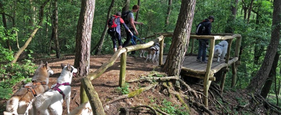 blankenfelde_20180510_03