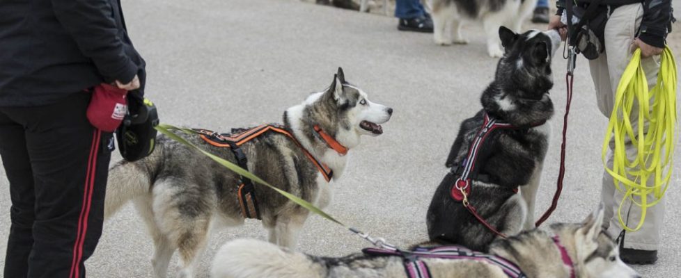 denhaag_20171028_001