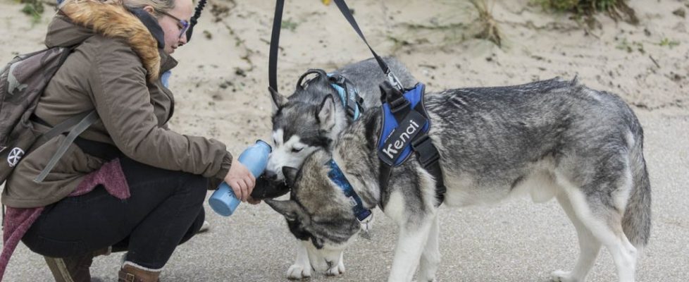 denhaag_20171028_003