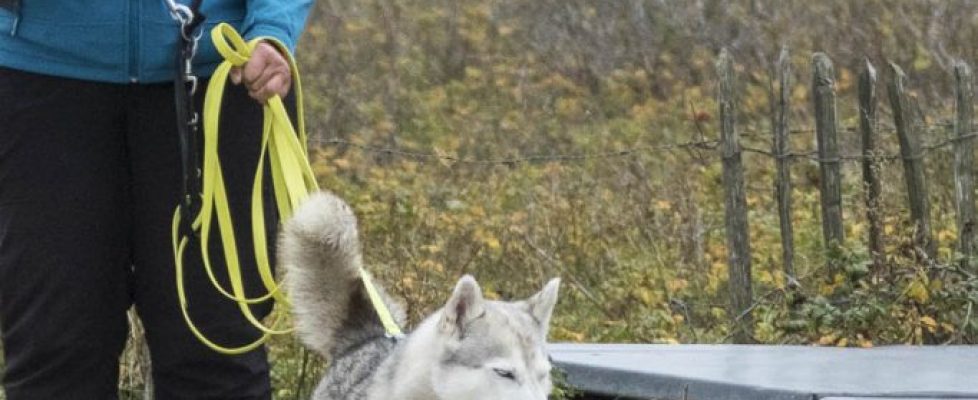 denhaag_20171028_007