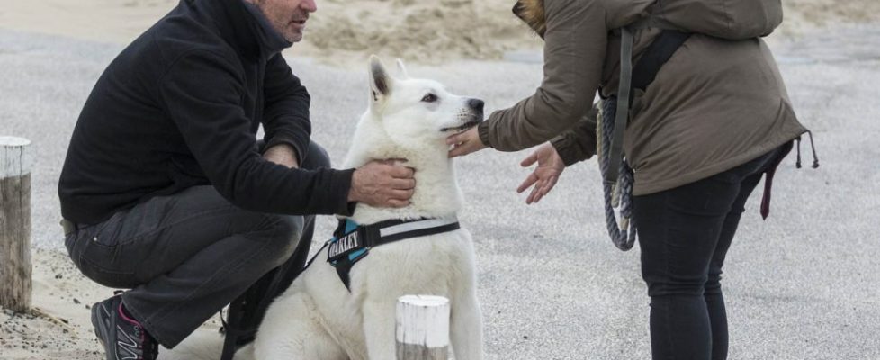 denhaag_20171028_008