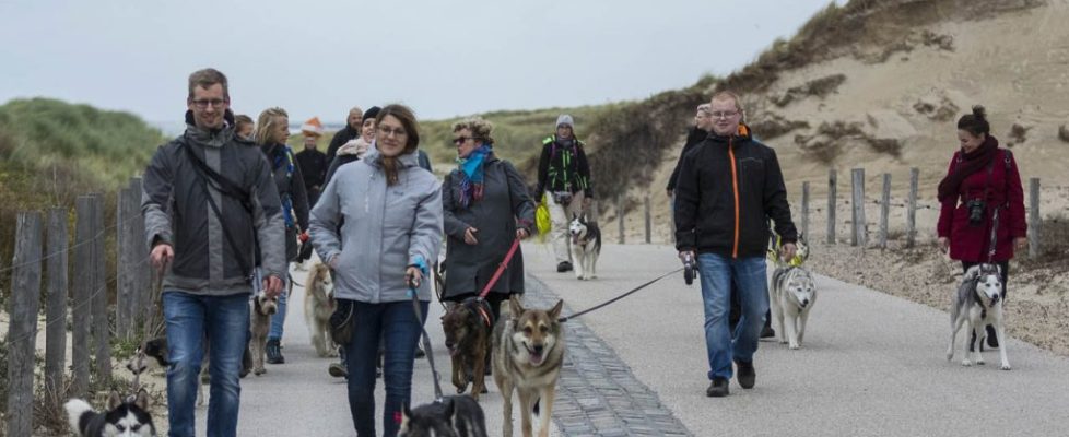 denhaag_20171028_012