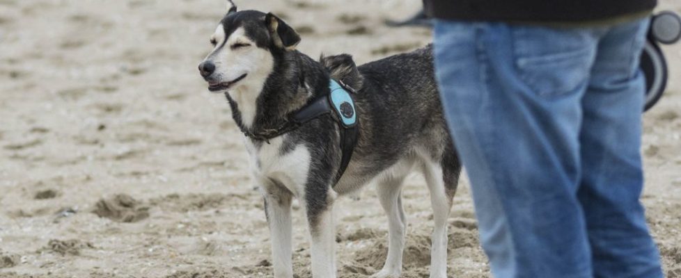 denhaag_20171028_019