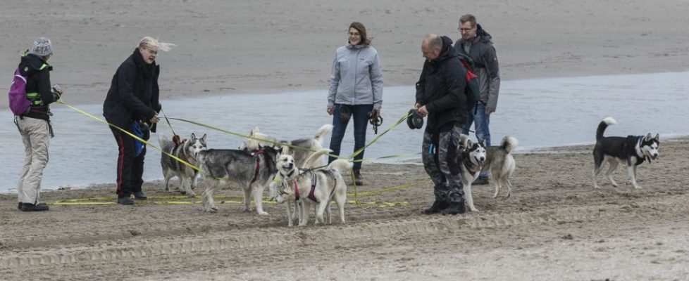 denhaag_20171028_023