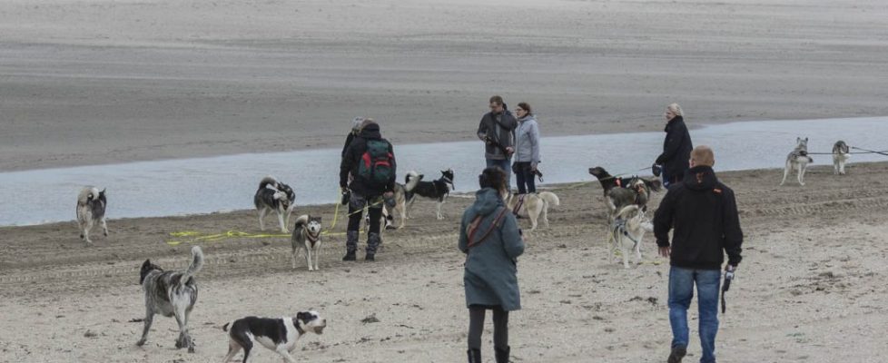 denhaag_20171028_025