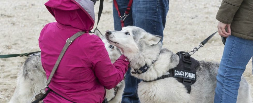 denhaag_20171028_028