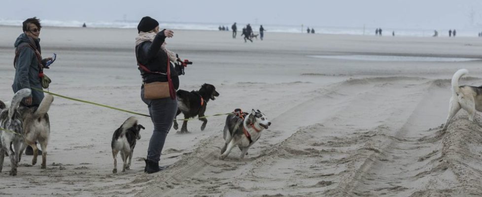 denhaag_20171028_030