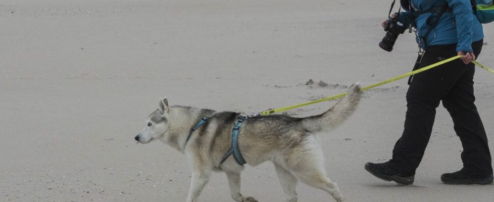 denhaag_20171028_033