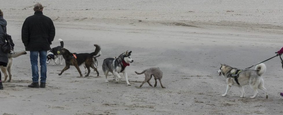 denhaag_20171028_034