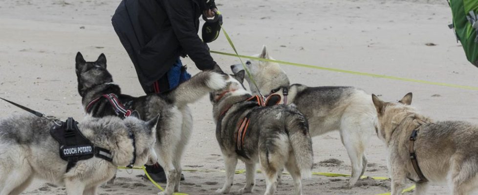 denhaag_20171028_035