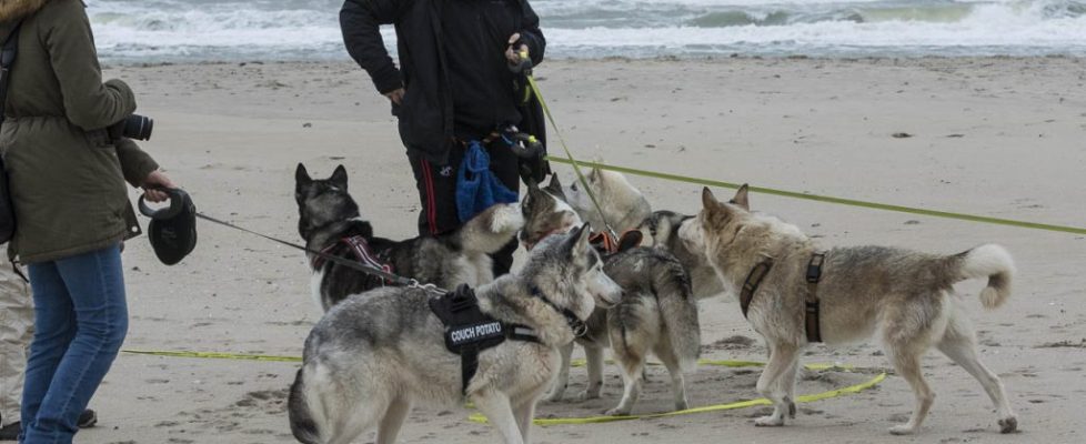 denhaag_20171028_036