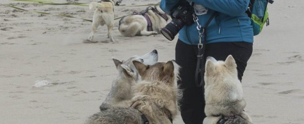 denhaag_20171028_040