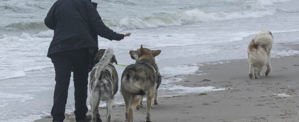 denhaag_20171028_048