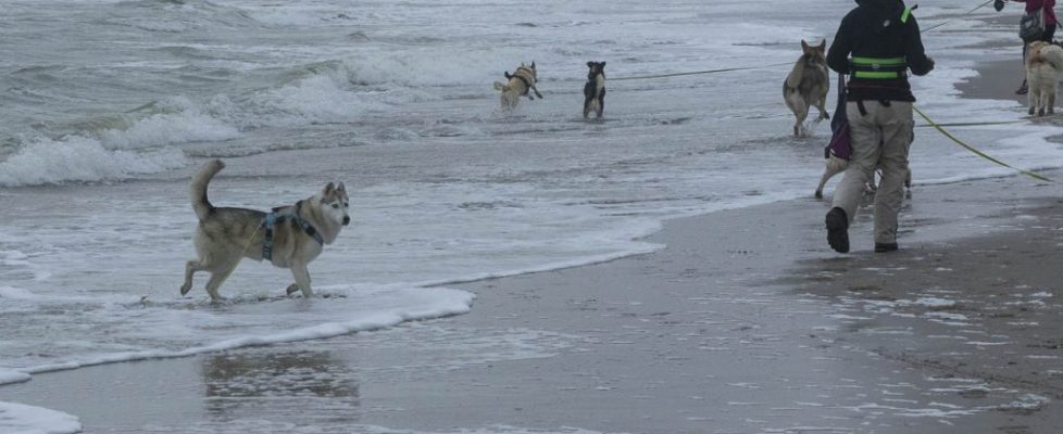 denhaag_20171028_051